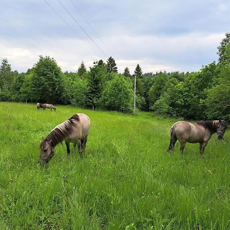 Sudecka Chata Bystrzyca Kłodzka Exteriör bild